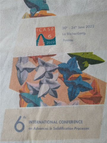 A conference bag showing an image of dendrites